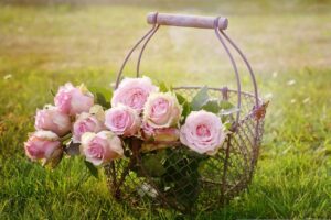 roses, flowers, basket-1566792.jpg