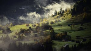 hills, trees, fog-615429.jpg