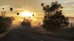 hot air balloons, road, fog-1373161.jpg